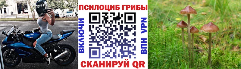 Галлюциногенные грибы Magic Shrooms  как найти закладки  Себеж 